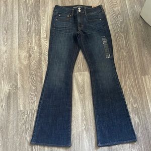American Eagle Artist Jeans